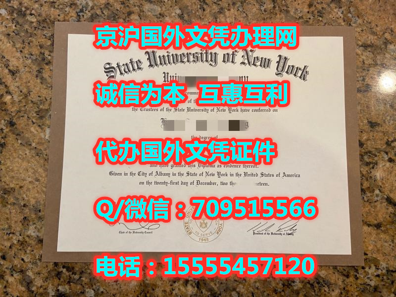 纽约州立大学奥尔巴尼分校_副本.jpg