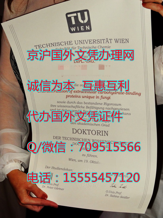 原版维也纳科技大学_副本.jpg