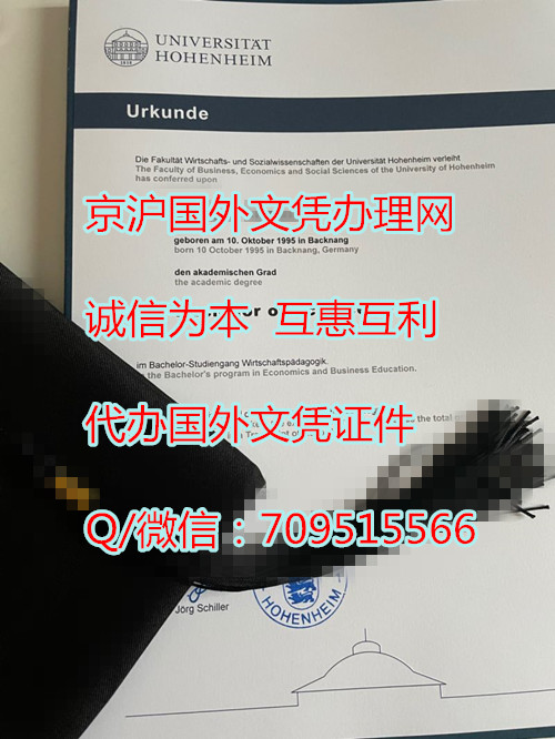 霍恩海姆大学毕业证_副本.jpg