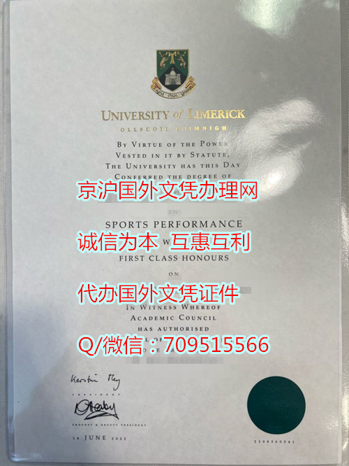 爱尔兰利莫瑞克大学毕业证2_副本.jpg