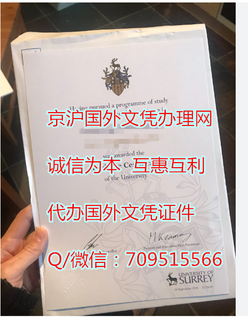 英国萨里大学毕业证_副本.jpg