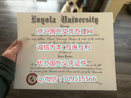 芝加哥罗耀拉大学毕业证_副本.jpg