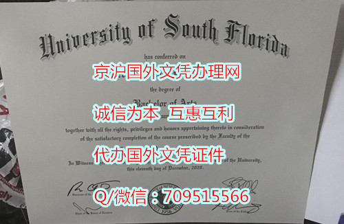 南佛罗里达大学毕业证_副本.jpg