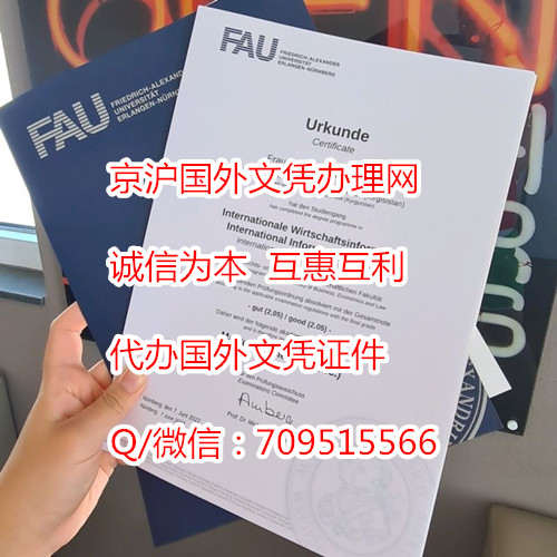 实拍埃尔朗根-纽伦堡大学毕业证模版,FAU文凭如何认证