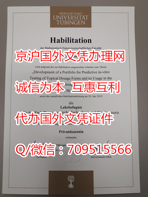 蒂宾根大学毕业证模版,德国文凭有用吗