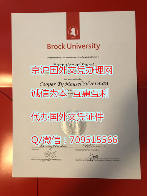 布鲁克大学毕业证模版定制,加拿大大学毕业证如何公证