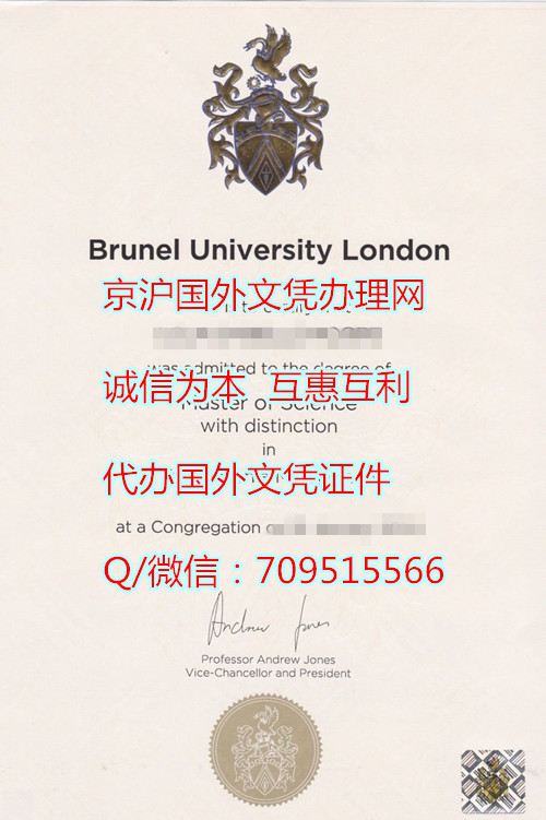 布鲁内尔大学毕业证模版定制,英国学历丢失补办