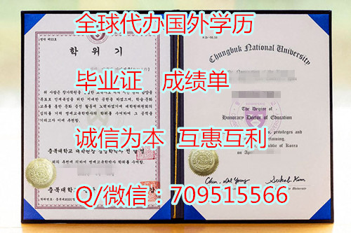 韩国忠北国立大学毕业证Chungbuk National University degree