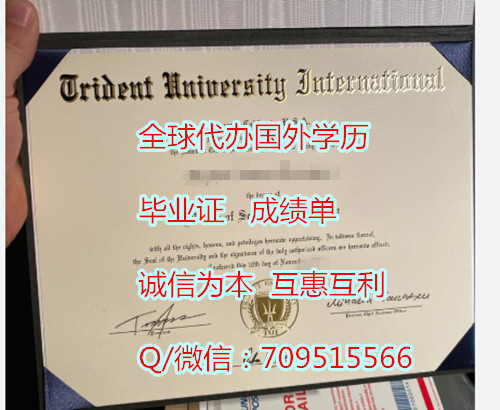 三叉戟国际大学毕业证样本(TUI)美国文凭怎么弄